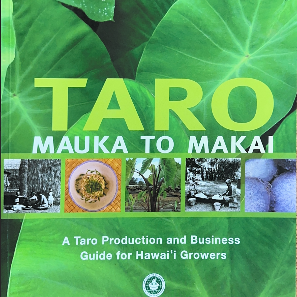 Kalo Workshop - logo